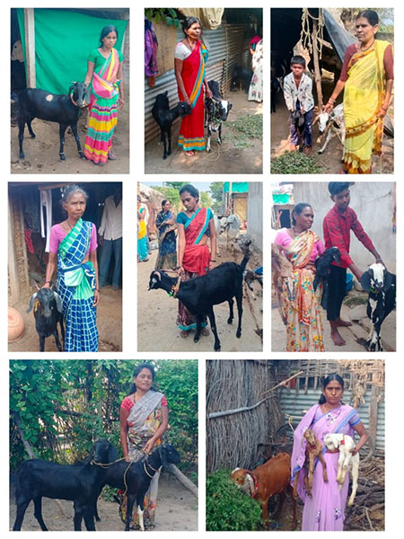 Empowering Single Women (Page 3) (6)